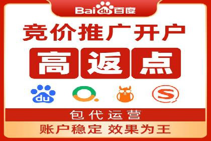 SEM竞价代运营：案例展示精准营销效果